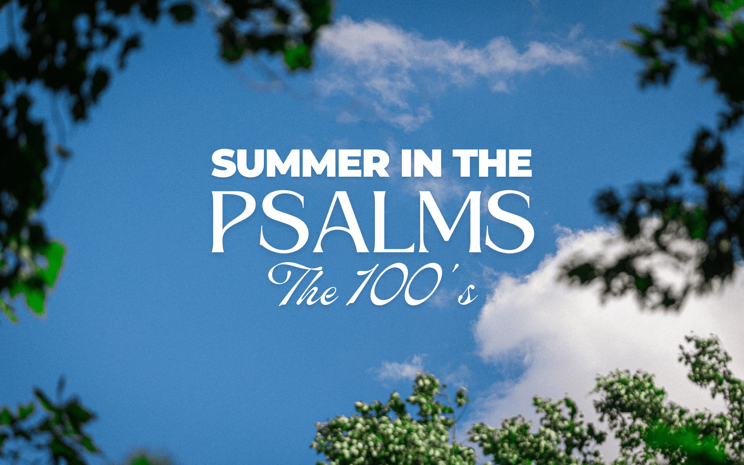 Summer in the Psalms church graphic design